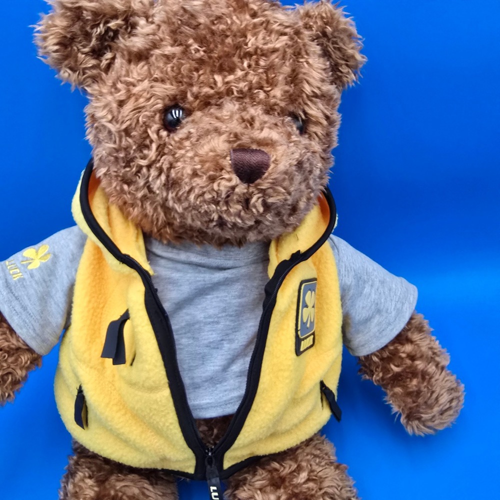 Wish Bear Luck Gund Teddy‎ Bear 2000 2001 May Department Stores Limited Edition - Picture 9 of 11